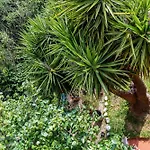 Vatican Oasis - Garden View Balcony & Full Kitchen * Rom