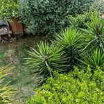 Vatican Oasis - Garden View Balcony & Full Kitchen Rom