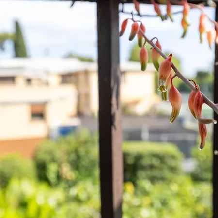 Bright Vatican Suite With Balcony, Garden View And Full Kitchen Daire
