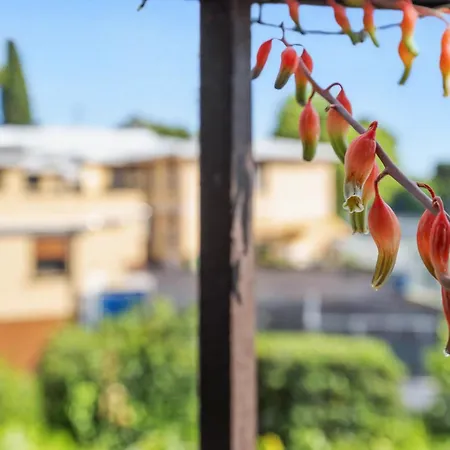 Lägenhet Vatican Oasis - Garden View Balcony & Full Kitchen *